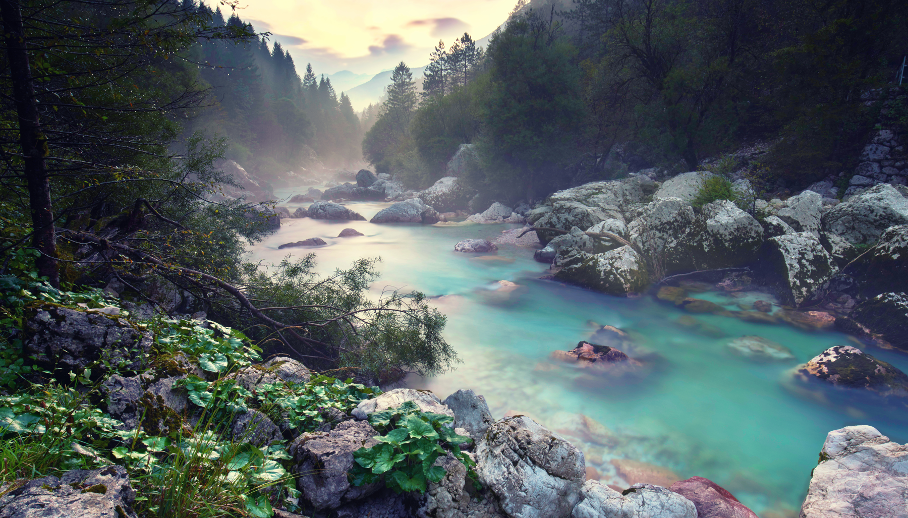 Triglavski narodni park