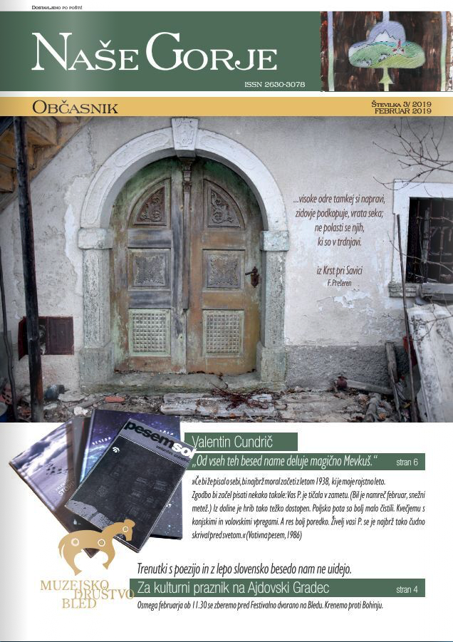 Naše Gorje občasnik številka 3